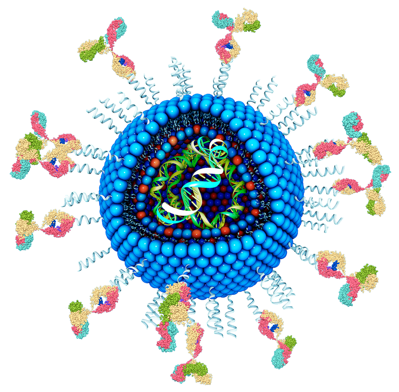 脂质体小试服务