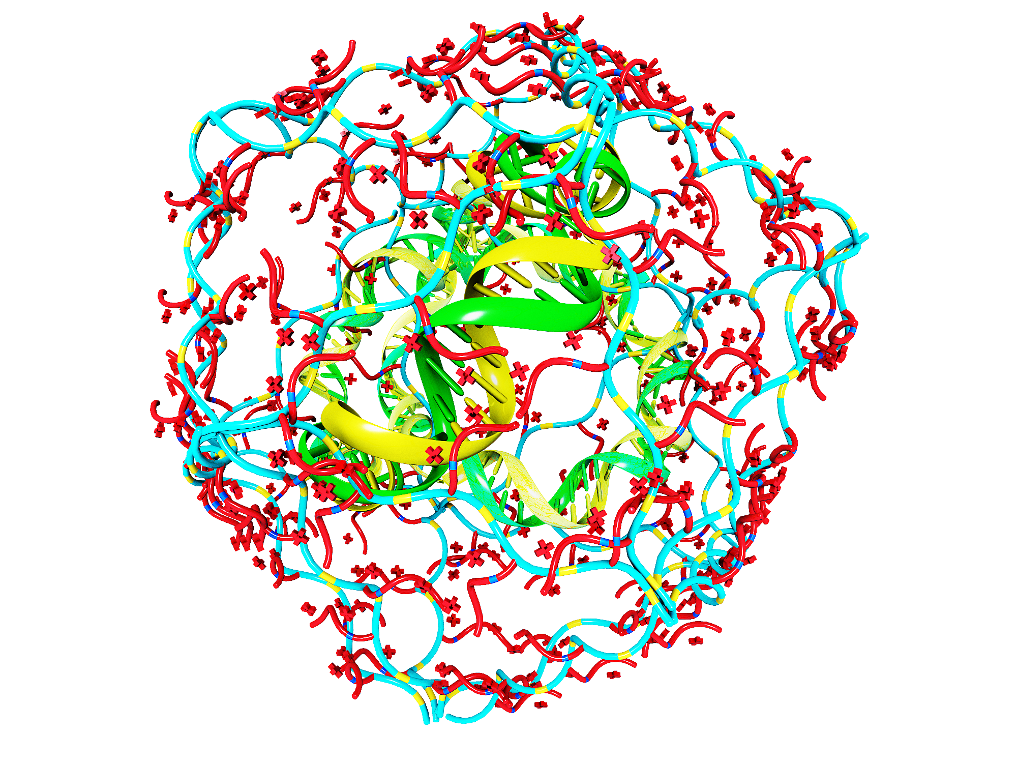 核酸脂质体研发/实验服务